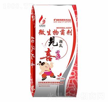 ΢����������w����̧�^Ҋϲ-���W��(r��n)��