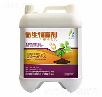 �����ޏ��;���-���W����