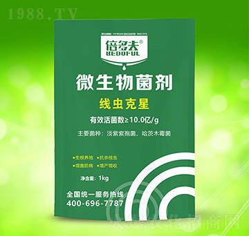 ���x(ch��ng)����-�����