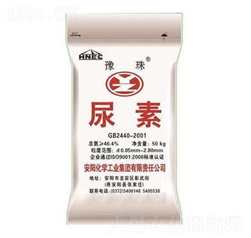 ����-ԥ��ʘI(y��)