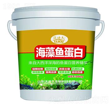 �����~(y��)����-�ֵϾ�