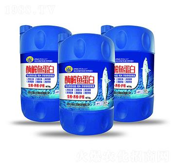 ø���~����-�ֵϾ�