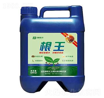 ����-�����S