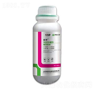 �}�V�\���F-�뺷-�����S