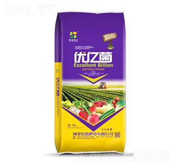 ��(y��u)�|��-���ηʘI(y��)