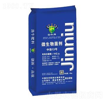 ΢�������-�Є�13̖-��ţ