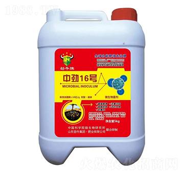 �Є�16̖΢�������-��ţ