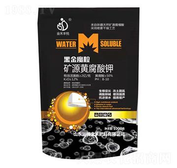 �VԴ�S�����-���