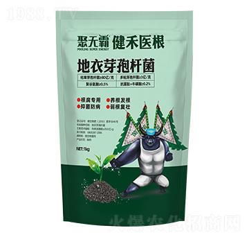 �����t(y��)������ѿ�ߗU��-�۟o(w��)��