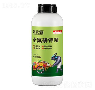 ȫ����⛾�-�۟o��