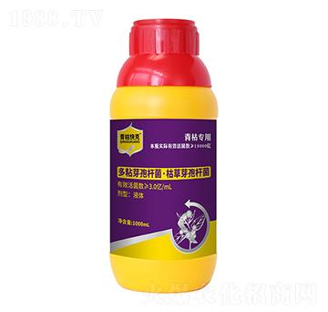 ��ճѿ�ߗU��+�ݲ�ѿ�ߗU��-��ݿ��-�۟o(w��)��