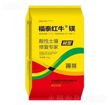 ���������ޏ�(f��)����-��̩�t�����V