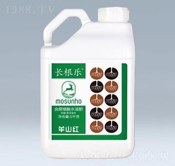 長根樂含腐植酸水溶肥-草莓圈