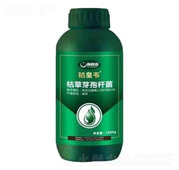 枯草芽孢桿菌-秙皇韋-?？破? width=