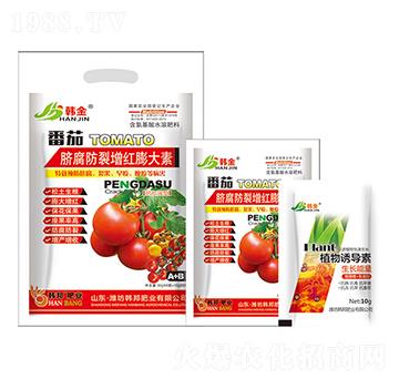 ����Ě���������t�����-�n��-�n��ʘI(y��)