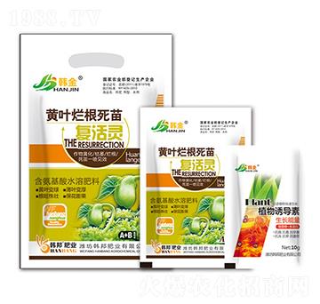 �S�~��������ͻ��`-�n��-�n��ʘI(y��)