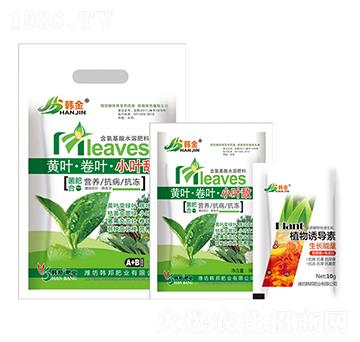 �S�~�����~��С�~��-�n��-�n��ʘI(y��)