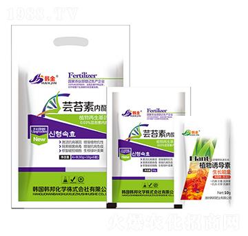 �|̦�؃�(n��i)֬-�n��-�n��ʘI(y��)