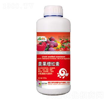 �������t��-�n��-�n��ʘI(y��)