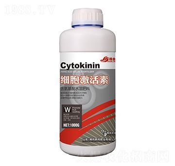 ��(x��)��������-�n��-�n��ʘI(y��)