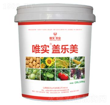 Ψ��(sh��)���w��(l��)��