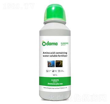 �W�V���Ӻ�-�W����