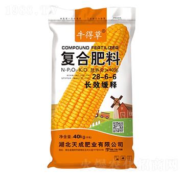 �LЧ��ጏ�(f��)�Ϸ���28-6-6-ţ�ò�-��˹��