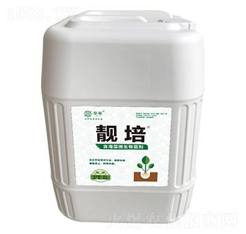 ������΢�������-�n��-���R����