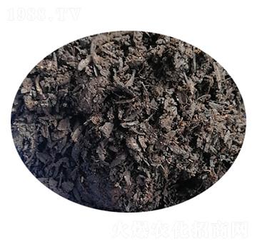 泥炭椰糠伴侶-培蕾