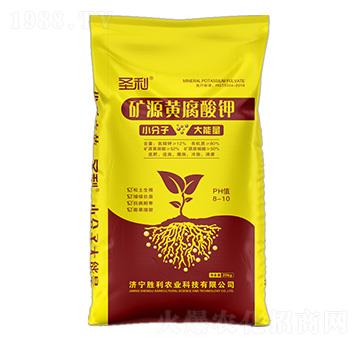 �VԴ�S�����-ʥ��-�����r(n��ng)�I(y��)