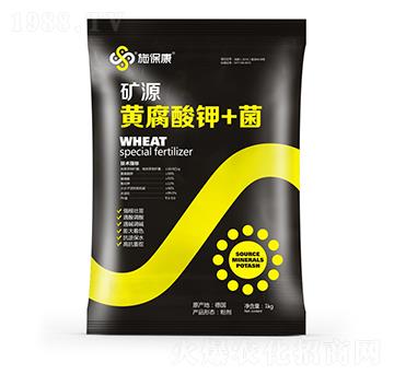 �VԴ�S�����+��-ʩ����