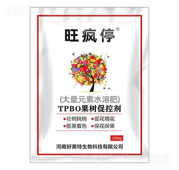 250gTPBO����(sh��)�ٿ؄�-����ͣ-������