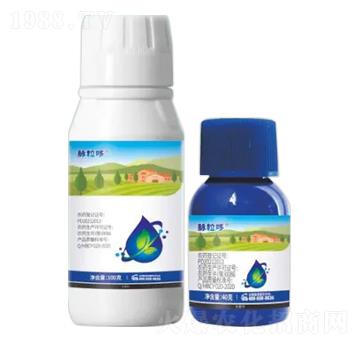 17%���ԡ����h(hu��n)��Ҹ���-�}����-�Z�����r(n��ng)�I(y��)