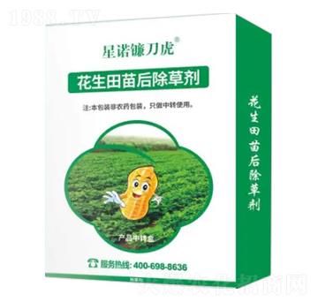 �����������݄�-���Z砵���-�Z�����r(n��ng)�I(y��)