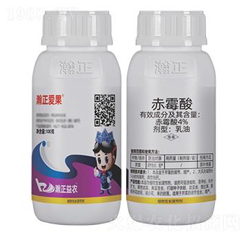 4%��ù������-����۹�-������r