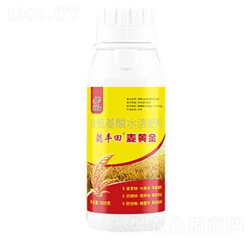 麥黃金含氨基酸水溶肥料-鼎來(lái)瑞
