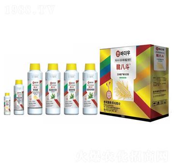 玉米高產(chǎn)解決方案-韓八斗-韓友化學(xué)