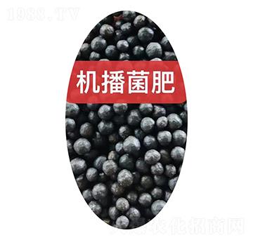 �C�������w��-���r(n��ng)