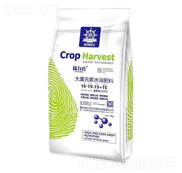 ����Ԫ��ˮ�ܷ���19-19-19+TE-������-���r(n��ng)