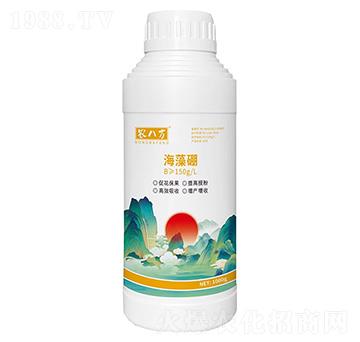 海藻硼1000g-農八方