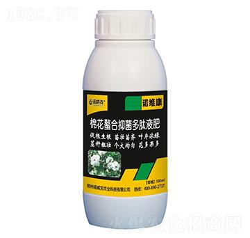 �޻������־�����Һ��-�Z�S��-�Z����