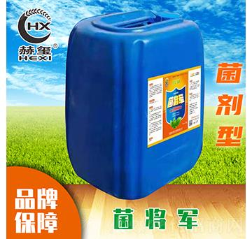 ����܊-�խt