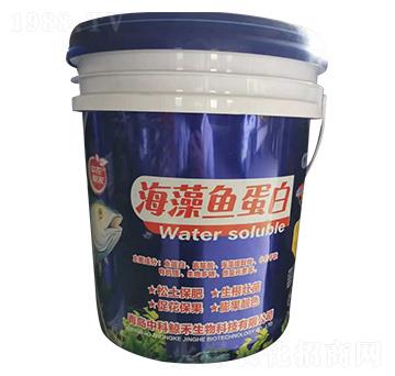 海藻魚蛋白-中農(nóng)鯨禾