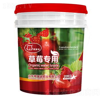 草莓專用水溶肥-根據(jù)地肥業(yè)