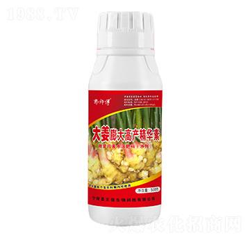 大姜膨大高產(chǎn)精華素-郭師傅-立信生物