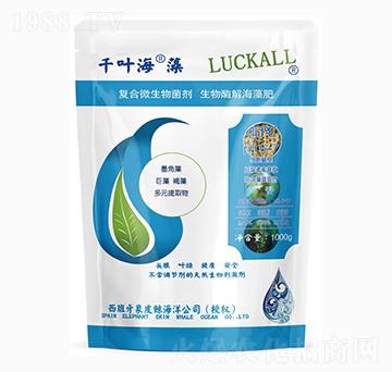 復合微生物菌劑-千葉海藻-杜斯農(nóng)