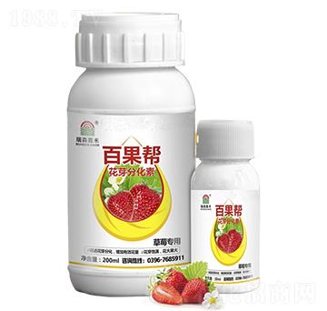 草莓專(zhuān)用花芽分化素-百果幫-瑞森嘉禾