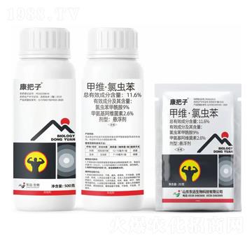 11.6%�׾S�����x���Ҹ���-������-�|�h����