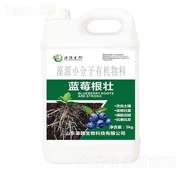 藍(lán)莓根壯藻源小分子有機(jī)物料-源疆生物