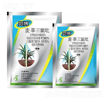 62%�����ݡ�������WP-�[��-һ�[�Ƽ�